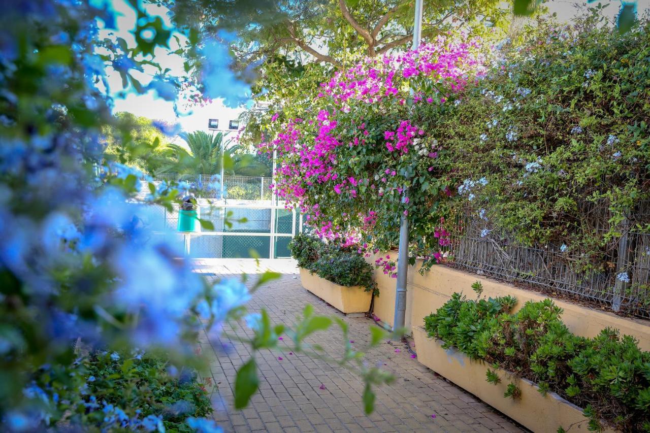 Montesol Home - Parking Gratis Ayamonte Exteriér fotografie